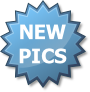 NEW
PICS